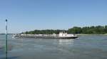 Tanker  Fides  Rhein-abwärts unterwegs am Himmelgeister Rheinbogen, 26.6.2010