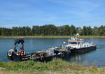 MS  Freiburg  und Schubprahm  Freiburg D  beim Einsammeln von Schwemmholz im Uferbereich des Rheins nrdlich von Marckolsheim/Elsa, Sept.2016