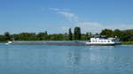 GMS  ALJA , rheinaufw�rts vor Breisach, Juni 2017