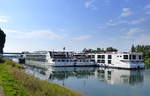 Anleger in Breisach am Rhein, Heckansicht der KFGS  Jane Austen  Basel,  Edelweiss  Basel und  Scenic Opal  Valetta, Aug.2017 
