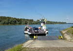 Autof�hre  Baden-Pfalz , beim Anlegen am badischen Rheinufer bei Neuburgweier, Sept.2017