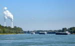  Tankerflotte  rheinabw�rts vor Karlsruhe, Sept.2017