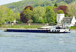 GMS  SAEFTINGE  auf dem Rhein bei Unkel - 21.04.2018