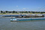 Die Gütermotorschiffe  Splendor  (02328238) und  Mondeo  (02328092) kreuzen auf dem Rhein das Schubboot  Geertruida van der Wees  (02315599) mit dem Ponton  Lastdrager 26 .