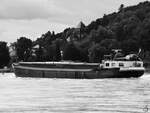Das Gütermotorschiff PELGRIM (ENI: 06003104) auf dem Rhein, so gesehen Anfang August 2021 bei Remagen.