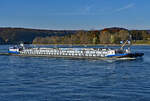TMS EINLTANK-43 auf dem Rhein bei Remagen - 09.11.2021