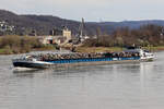 Frachtschiff  ANNABELL  Rhein abwärts bei Stolzenfels/Koblenz 14.3.2024