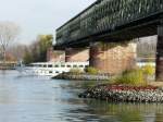 Das Kabinenschiff LEONARDO DA VINCI passiert am 17.11.2008 die Eisenbahnbr�cke Mainz-S�d in der Talfahrt.