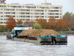 Schubboot  EDDA  (05609510 , 25,66 x 8,19m) schob am 26.10.2021 die Leichter  ED28 u. ED26  auf der  HAVEL  in Berlin-Spandau zu Tal.