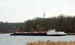 TMS  DETTMER TANK 140  (04810300 , 86 x 11,45m) am 07.02.2025 auf der  HAVEL / Untere-Havel-Wasserstrasse km 16,4 zw. der Sacrower Heilandskirche und dem Krughorn auf Bergfahrt nach Berlin-Ruhleben. 