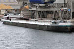 SIGUENZA (205355890)noch ohne Fracht im Hafen Plochingen 07.02.2024