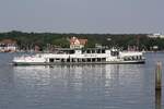 BÄR VON BERLIN | 05601260 | Berlin | Wannsee | Juni 2025