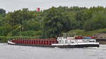 Gütermotorschiff (GMS) ARCTURUS (ENI 4018710) am 11.08.2023 auf der Trave bei Lübeck-Dänischburg