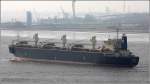 Die 1996 gebaute DAISHIN MARU (IMO 9136917) am 14.02.2013 Weser aufwrts fahrend. Dieser Holzschnitzelfrachter ist 195 m lang, 29 m breit, hat eine GT von 31.527 und eine DWT von 38.692 t. Heimathafen ist Monrovia (Liberia).