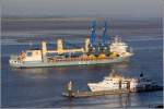 Die 2008 gebaute ANNE-SOFIE (IMO 9376490) kommt, beladen mit zwei Kranen, am 06.09.2013 die Weser herunter. Diese Mehrzweckschiff ist 160 m lang, 24 m breit, hat eine GT von 12.950, eine DWT von 12.007 t und kann auch 993 TEU transportieren. Heimathafen ist St. John's (Antigua and Barbuda). Im Vordergrund hat die FAIR LADY (IMO 7016474) an der Seebderkaje in Bremerhaven festgemacht.

