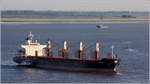 Die 2000 gebaute MOLAT (IMO 9211559) fährt am 14.06.2017 weserabwärts. Sie ist 172 m lang und 27 m breit, hat eine GT/BRZ von 17.928 und eine DWT von 28.355 t. Heimathafen ist Zadar (Kroatien). Früherer Name: KALI.