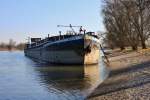 Havariertes GMS  Getan  (04401210) aus Giurgiu/RO liegt auf einer Kiesbank bei Winzer/Donau fest. 24.02.2014