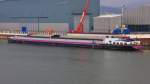GMS Zijpsche Gat (02331760) aus Millingen a/d Rijn am Werftanleger in Deggendorf. 28.02.2014