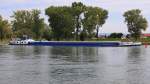 GMS  Rialto  (02104653) aus Werkendam/NL auf Talfahrt bei Niederalteich/Donau. 29.08.2014