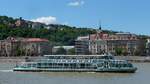 Die  Legenda  auf der Donau in Budapest, 18.6.2016