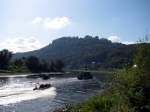 viel los auf der Elbe bei Knigstein