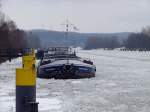 Zwangspause im Eis der Elbe (1):  Bremer Roland , Magdeburg (04603230) auf dem oberen Schleusenkanal in Geesthacht; 08.02.2010  