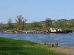 Tschechischer Schubverband mit CSPL TR 21 und zwei SL die Elbe zu Tal bei Dresden-Gohlis; 10.04.2011  