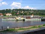 Seitenraddampfer PILLNITZ (ex  Weltfrieden , ex  Diesbar , ex  Knigin Carola ), Baujahr 1886, auf der Elbe beim Anlegen in Dresden-Blasewitz - 16.06.2005  