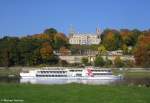 Auch das Neubau-Motorschiff GRAFIN COSEL ist am 11.10.2088 auf der Elbe in Höhe vom Schloss Albrechtsberg (Dresden) unterwegs.