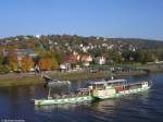 Raddampfer PIRNA dreht beim  Blauen Wunder  und wird nach Passieren sich wieder auf dem Weg nach Dresden aufmachen (11.10.2008). Oberhalb vom  ELBEGARTEN  ist die Bergstation in Oberloschwitz und die Masten der Dresdener Schwebebahn auszumachen.