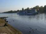 Neubau-Motorschiff GRAFIN COSEL ist am 11.10.2088 auf der Elbe in Höhe vom  Blauen Wunder  in Dresden.