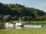 Der Schaufelraddampfer  STADT WEHLEN  (ex MHLBERG, ex DRESDEN), Baujahr 1879 die Elbe zu Tal kommend wendet bei Zehren und luft dann Heck voraus weiter nach Diesbar; 30.09.2013 - warum dieses