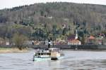 Raddampfer  Meissen  der Weißen Flotte unterwegs auf der Elbe bei Königstein (Sachs). 12.04.2015