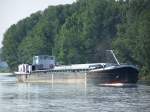 MS  Rabenau  ist ein ehemaliges DDR-Motorgterschiff (Mog) der Binnenreederei Berlin, hier am 27.07.2005 zu Berg an der Gauernitzer Insel, Elbe-Km 74. Euro-Nummer 4030720, 67,00 m x 8,20 m, Tragfhigkeit 830 t.