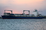 MAERSK NIENBURG , Containerschiff , IMO 9446104 , Baujahr 2010 , 2550 TEU , 210 x 30m , 23.04.2016 Grünendeich