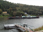 BESKYDY, der letzte Heckradschlepper, Baujahr 1956, kommt aus Decin die Elbe zu Tal zum  Schifferfest am Gasthof Obervogelgesang ; 01.10.2016
