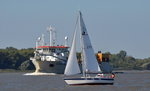 Hallberg-Rassy 312 Segeljacht ein 1 Master Baujahr etwa 1985 verdeckt gerade Francesco Di Giorgio ein Saugbaggerschiff Richtung Hamburg bei Wedel am 15.09.16, IMO: 9280201, Baujahr: 2003, L,B,T,: