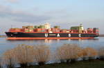 SALAHUDDIN , Containerschiff , IMO 9708796 , Baujahr 2015 , 14993 TEU ,368.52 x  51.m ,11.11.2016 Grünendeich