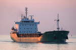 ARKLOW MUSE , General Cargo , IMO 9509487 , Baujahr 2013 , 136.5 × 21m , 20.05.2017  Cuxhaven