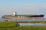 MSC KATYAYNI , Containerschiff , IMO 9110389 , Baujahr 1996 , 5711 TEU , 274.6 × 40m , 20.05.207  Cuxhaven