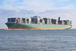 THALASSA TYHI , Containerschiff , IMO 9667162 , Baujahr 2014 , 368.44 × 51.06m , 13808 Teu ,  Cuxhaven   08.11.2018