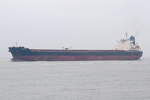 PATRICIA V , Bulk Carrier , IMO 9453054 , Baujahr 2010 , 225 × 32.28m , 18.12.2018 , Cuxhaven