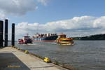 Hamburg am 21.8.2019: reger Schiffsverkehr auf der Elbe, Blickrichtung vom Bubendeyufer elbabwärts, die HADAG-Fähren HARBURG und TOLLERORT sowie das einlaufende Containerschiff CMA CMG