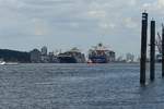 Hamburg am 21.8.2019: Schiffsbegegnung der MSC ARICA auslaufend und CMA CMG CORNEILLE eingehend  auf der Elbe Höhe Neumühlen /
