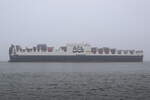 ATLANTIC SUN , Ro-Ro/Containerschiff , IMO 9670614 , Baujahr 2017 , 296 x 37.6 m , 3817 TEU , 12.11.2021 , Cuxhaven