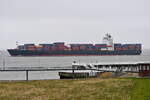 GSL SUSAN , Containerschiff , IMO 9349617 , Baujahr 2008 , 260 x 32.23 m , 4363 TEU , Cuxhaven - Alte Liebe , 10.04.2025 ,