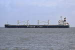 AMIS STAR , Massengutschiff , IMO 9865350 , 199.9 x 32.24 m , Baujahr 2019 , Cuxhaven - Alte Liebe , 10.04.2025 , 