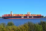 MSC HAMBURG , Containerschiff , IMO 9647461 , Baujahr 2015 , 399 x 54m , 15908 TEU , Lühe - Deich , 19.10.2025 ,