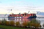 HMM COPENHAGEN , Containerschiff , IMO 9863302 , Baujahr 2020 , 400 x 61 m , 228283 TEU , 22.10.2025 , Lühe - Deich
