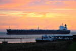 CSK VANGUARD , Tanker , IMO 9728423 , Baujahr 2016 , 250 x 44 m , Cuxhaven , Alte Liebe , 31.10.2025 ,